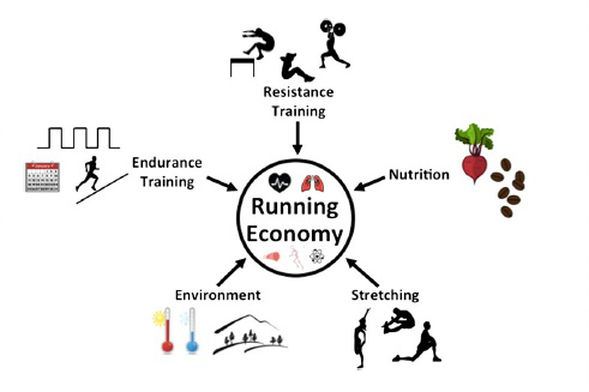 Factors effecting running economy [4]